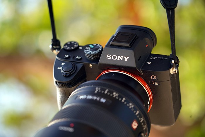 Pic_Sony A7 III_05